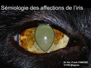 Sémiologie des affections de l’iris

Dr Vet. Frank FAMOSE
31700 Blagnac

 