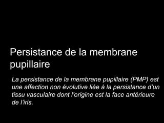 Persistance de la membrane
pupillaire
La persistance de la membrane pupillaire (PMP) est
une affection non évolutive liée à la persistance d’un
tissu vasculaire dont l’origine est la face antérieure
de l’iris.

 