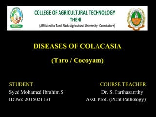 DISEASES OF COLACASIA
(Taro / Cocoyam)
STUDENT COURSE TEACHER
Syed Mohamed Ibrahim.S Dr. S. Parthasarathy
ID.No: 2015021131 Asst. Prof. (Plant Pathology)
 