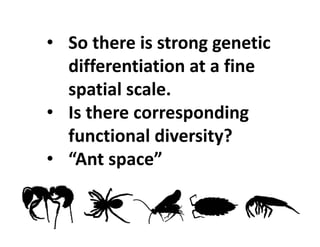 • So there is strong genetic 
differentiation at a fine 
spatial scale.  
• Is there corresponding 
functional diversity? 
• “Ant space”
 