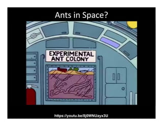 Ants in Space?
https://youtu.be/8j0WNUayx3U
 