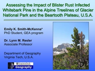 Assessing the Impact of Blister Rust Infected
Whitebark Pine in the Alpine Treelines of Glacier
National Park and the Beartooth Plateau, U.S.A.


Emily K. Smith-McKenna*
PhD Student, GEA program

Dr. Lynn M. Resler
Associate Professor

Department of Geography
Virginia Tech, U.S.A.
 