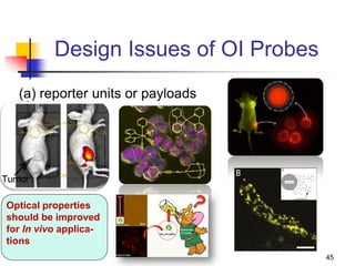 Optical Imaging Probe development | PDF