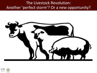 The Livestock Revolution: 
Another ‘perfect storm’? Or a new opportunity? 
 
