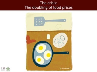 Livestock policy paradoxes: Promulgating a crisis? Or providing a solution?