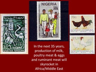 In the next 35 years, 
production of milk, 
poultry meat & eggs 
and ruminant meat will 
skyrocket in 
Africa/Middle East 
 