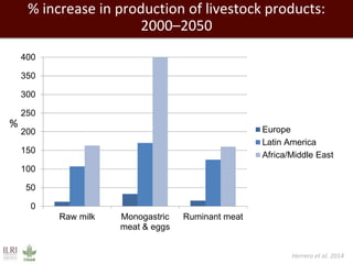 % increase in production of livestock products: 
2000–2050 
400 
350 
300 
250 
200 
150 
100 
50 
0 
Raw milk Monogastric 
meat & eggs 
Ruminant meat 
Europe 
Latin America 
Africa/Middle East 
% 
Herrero et al. 2014 
 