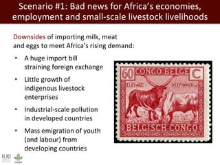 Scenario #1: Bad news for Africa’s economies, 
employment and small-scale livestock livelihoods 
Downsides of importing milk, meat 
and eggs to meet Africa’s rising demand: 
• A huge import bill 
straining foreign exchange 
• Little growth of 
indigenous livestock 
enterprises 
• Industrial-scale pollution 
in developed countries 
• Mass emigration of youth 
(and labour) from 
developing countries 
 