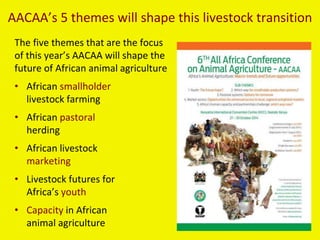 AACAA’s 5 themes will shape this livestock transition 
The five themes that are the focus 
of this year’s AACAA will shape the 
future of African animal agriculture 
• African smallholder 
livestock farming 
• African pastoral 
herding 
• African livestock 
marketing 
• Livestock futures for 
Africa’s youth 
• Capacity in African 
animal agriculture 
 