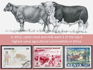 In 2012, cattle meat and milk were 2 of the top 4 
highest value agricultural commodities in Africa 
 