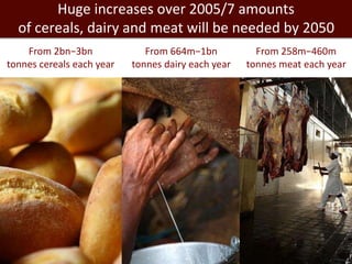 Huge increases over 2005/7 amounts 
of cereals, dairy and meat will be needed by 2050 
From 2bn−3bn 
tonnes cereals each year 
From 664m−1bn 
tonnes dairy each year 
From 258m−460m 
tonnes meat each year 
 