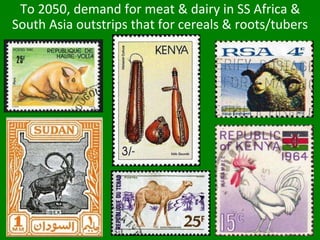 To 2050, demand for meat & dairy in SS Africa & 
South Asia outstrips that for cereals & roots/tubers 
 
