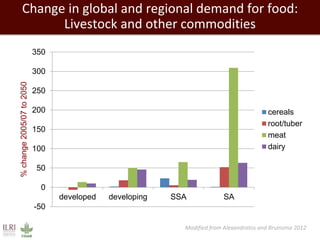 Change in global and regional demand for food: 
Livestock and other commodities 
350 
300 
250 
200 
150 
100 
50 
0 
-50 
developed developing SSA SA 
% change 2005/07 to 2050 
cereals 
root/tuber 
meat 
dairy 
Modified from Alexandratos and Bruinsma 2012 
 