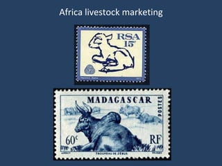 African animal agriculture: Grasping opportunities as a great livestock transition gets under way
