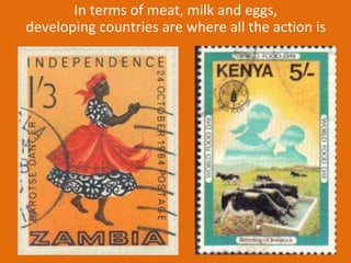 African animal agriculture: Grasping opportunities as a great livestock transition gets under way