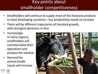 Promoting synergy among professionals: Transforming livestock productivity and trade in sub-Saharan Africa