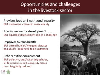 Promoting synergy among professionals: Transforming livestock productivity and trade in sub-Saharan Africa