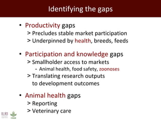 Promoting synergy among professionals: Transforming livestock productivity and trade in sub-Saharan Africa