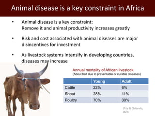 Promoting synergy among professionals: Transforming livestock productivity and trade in sub-Saharan Africa