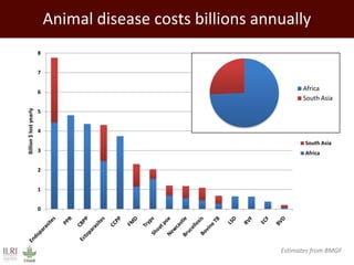 Promoting synergy among professionals: Transforming livestock productivity and trade in sub-Saharan Africa