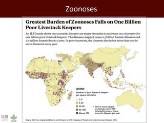 Promoting synergy among professionals: Transforming livestock productivity and trade in sub-Saharan Africa