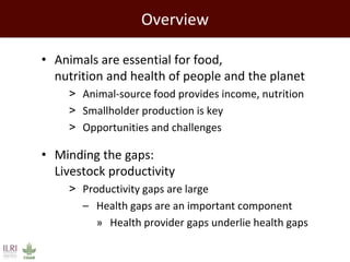Promoting synergy among professionals: Transforming livestock productivity and trade in sub-Saharan Africa