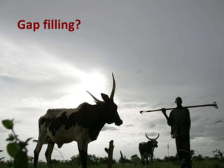 Promoting synergy among professionals: Transforming livestock productivity and trade in sub-Saharan Africa