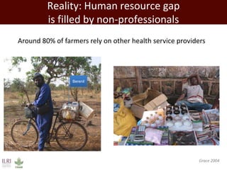 Promoting synergy among professionals: Transforming livestock productivity and trade in sub-Saharan Africa