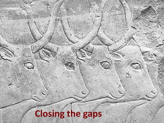 Promoting synergy among professionals: Transforming livestock productivity and trade in sub-Saharan Africa