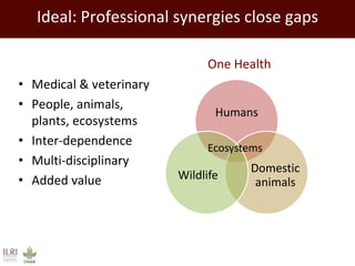 Promoting synergy among professionals: Transforming livestock productivity and trade in sub-Saharan Africa