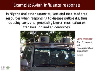 Promoting synergy among professionals: Transforming livestock productivity and trade in sub-Saharan Africa