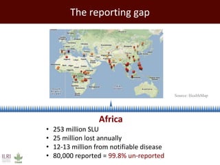 Promoting synergy among professionals: Transforming livestock productivity and trade in sub-Saharan Africa