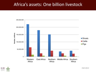 Promoting synergy among professionals: Transforming livestock productivity and trade in sub-Saharan Africa