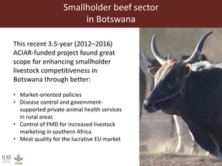 Achieving Agenda 2030: Livestock research and the transformation of small-scale production 