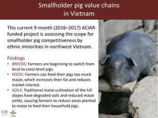 Achieving Agenda 2030: Livestock research and the transformation of small-scale production 