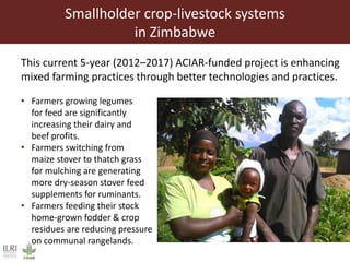 Achieving Agenda 2030: Livestock research and the transformation of small-scale production 