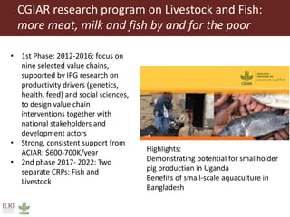Achieving Agenda 2030: Livestock research and the transformation of small-scale production 