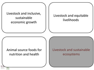 Achieving Agenda 2030: Livestock research and the transformation of small-scale production 