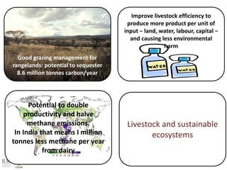 Achieving Agenda 2030: Livestock research and the transformation of small-scale production 