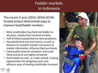 Achieving Agenda 2030: Livestock research and the transformation of small-scale production 