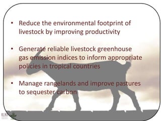 Achieving Agenda 2030: Livestock research and the transformation of small-scale production 