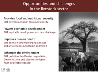 Achieving Agenda 2030: Livestock research and the transformation of small-scale production 