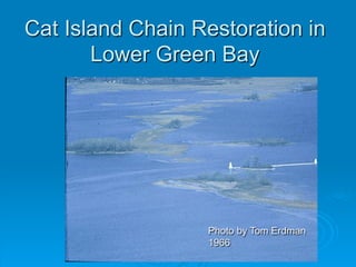 Cat Island Chain Restoration in
Lower Green Bay

Photo by Tom Erdman
1966

 