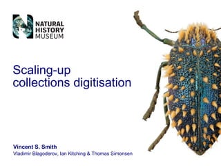 Scaling-up  collections digitisation Vincent S. Smith Vladimir Blagoderov, Ian Kitching & Thomas Simonsen 