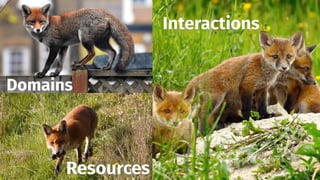 smithery.com
Domains
Resources
Interactions
 