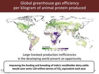 Wherefore livestock? Does animal agriculture have a role in future food systems?