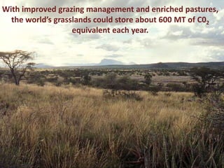 Wherefore livestock? Does animal agriculture have a role in future food systems?