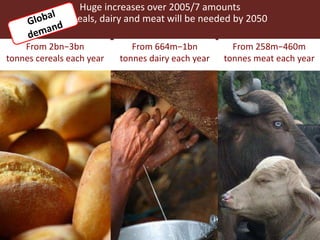 Wherefore livestock? Does animal agriculture have a role in future food systems?