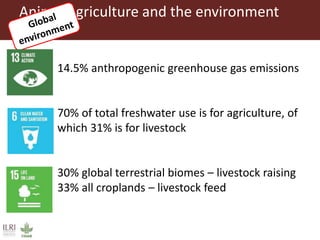 Wherefore livestock? Does animal agriculture have a role in future food systems?