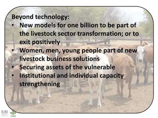 Better lives through livestock